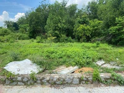 ĐẤT Xã Dầu Tiếng (đường Trần Phú) 785m2 (có 260m2 thổ cư) Giá 3 Tỷ 450