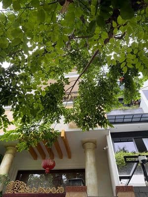 Bán gấp nhà biệt thự 3 tâng 150m2 ngang 8m đuòng 10.5 Trung T Thanh Kh