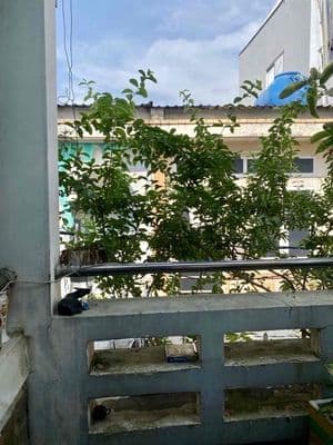 GẤP LẮM RỒI! Bán nhà P1Q8 gần cầu Nguyễn Văn Cừ-hẻm 3gác-39,4m2
