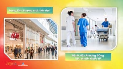 VÂN BAY – BIỂU TƯỢNG SỐNG MỚI GIỮA TRUNG TÂM VÂN ĐỒN