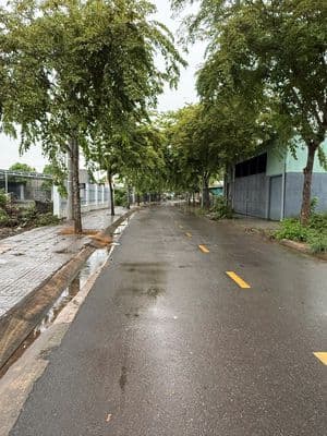BÁN ĐẤT MẶT TIỀN ĐƯỜNG NHỰA NHÁNH ĐƯỜNG SỐ 9 – P. TAM LONG (BRVT)