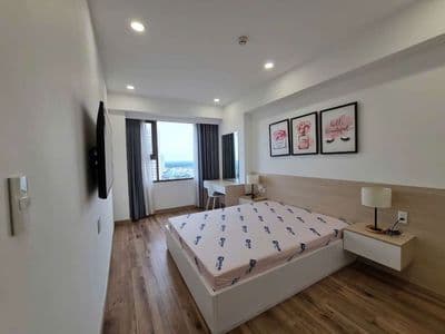 Bán Căn Hộ Saigon South Residences (SSR) - Nhà Bè - View Đẹp