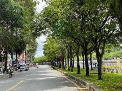 60m2! Chủ đang kẹt cần bán gấp! Bán nhà 2 tầng Lý Chính Thắng, P8.