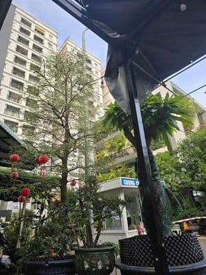 Bán chung cư Xuân Thủy, Quy Nhơn. Ngay trung tâm