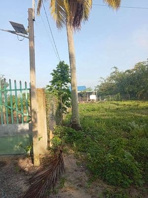 cần bán đất