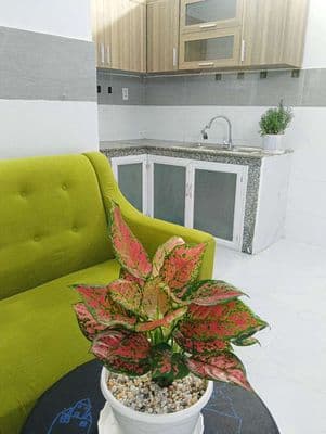Bán Nhà 2 Tầng 2pn 2wc Ngay Cầu Ông Dầu Giá 1.399 tỷ TL, Nhận Nhà Ngay
