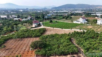 Bán đất view hồ Từ Liêm tại Nam Ban Lâm Hà- ven Đà Lạt