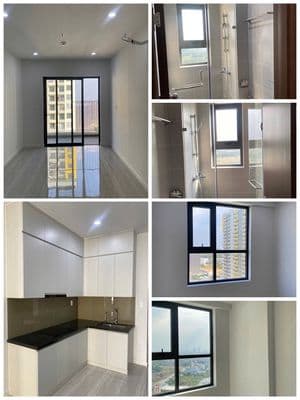 Giỏ hàng cho thuê căn hộ chính chủ - có nhiều sự lựa chọn cho bạn