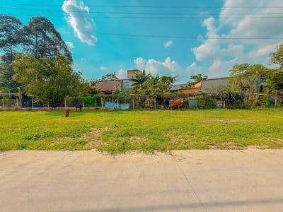 Hàng hiếm Củ Chi – 123m² sổ riêng, giá 530TR, đầu tư lời ngay!