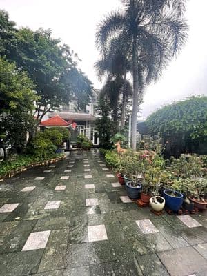 CHO THUÊ BIỆT THỰ 379 THỐNG NHẤT – PHƯỜNG 11, GÒ VẤP, TP.HCM