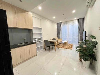 Chủ ngộp Ngân hàng bán gấp căn hộ Mt Ql13 - 52 m2 Full nội thất