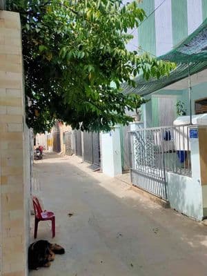 bán nhà cấp 4