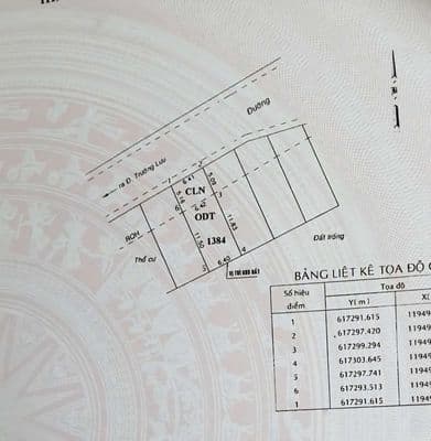 Đất hẻm 47 Trường Lưu