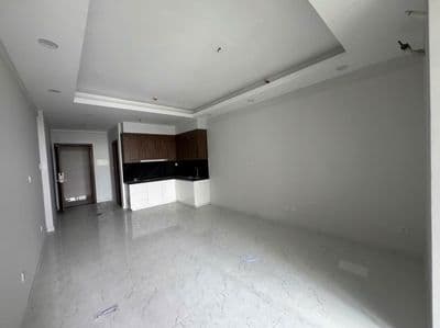 Cho thuê studio opalskyline 40m2 1pn,1wc ntcb chỉ 4tr5, gần kcn visip1