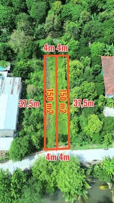 Nền giá rẻ gần chợ bông vang