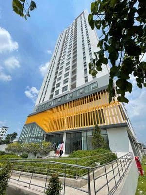 Cho thuê căn hộ aurora quận 8 – nhiều diện tích, giá tốt