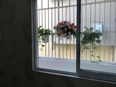 cần bán nhanh căn hộ ngay cầu vượt Sóng Thần , căn góc đẹp