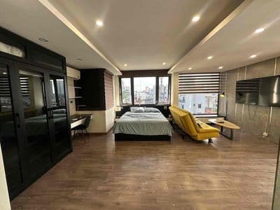 Cho thuê căn hộ studio rộng 50m2 gần Lotte, Himlam quận 7
