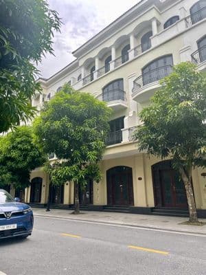 Cắt lỗ liền kề Vinhomes Ocean Park 2, giả chỉ hơn 6 tỷ