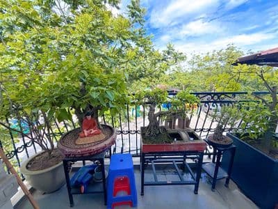 Chính Chủ Nhượng Lại Siêu Phẩm 45M2 5T Xây 2024 Oto Đỗ Cửa