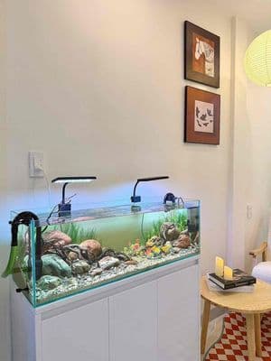 NHÀ MỚI 2 TẦNG KIỆT TRẦN CAO VÂN CHỈ NHỈNH 3ty