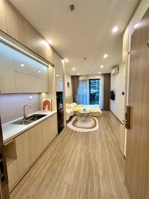 Bán gấp căn S302 1617: DT 25,5m, 2 tỷ 250, gần nhà xe ở Vin Smart City