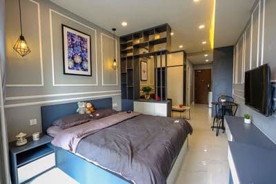 Cho thuê studio 12tr-15tr,hiện có 1pn view bitexco 14tr tại Millennium