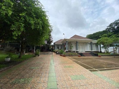 Bán Biệt Thự Mái Thái 3 Mặt Tiền Đường Nhựa - 1490m2