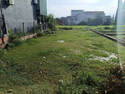 Đất thổ cư 5m x 30m xã Mỹ Hạnh Nam