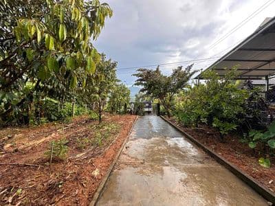 Bán đất 337m2 sẵn nhà mới xây.