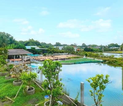 Hàng Vip, Chỉ 590tr sở hữu 150m² đất thổ đường Xe Tải