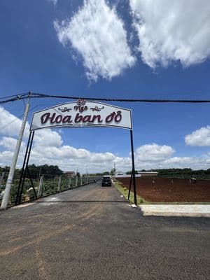 Khu quy hoạch dân cư Hoa Ban Đỏ - Gần Sân Bay Liên Khương