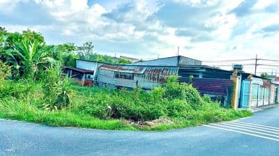 Bán đất Tân Thông Hội Củ Chi 295m2 chính chủ sổ hồng riêng giá rẻ