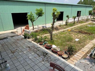 Xưởng Phú Chánh 600m giá 20 triệu xưởng mới 100%