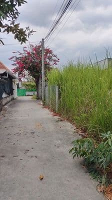 Chủ hạ giá bán gấp gần chợ Hưng Long giá 980 triệu/85m2 thổ cư. lộ oto