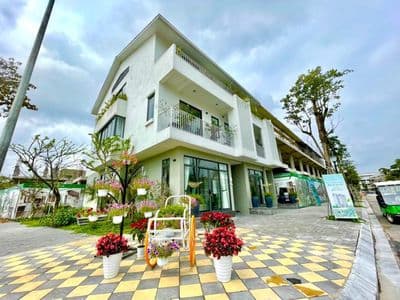 Nhà liền kề 80m2 khu Dahlia chỉ 4.2xx tỷ