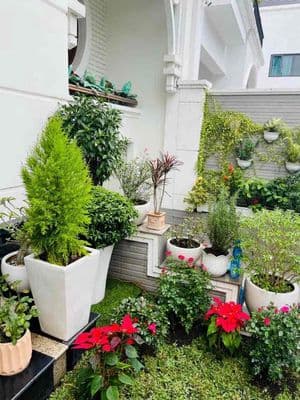 Cho thuê biệt thự liền kề nam thiên 1 – phú mỹ hưng, quận 7