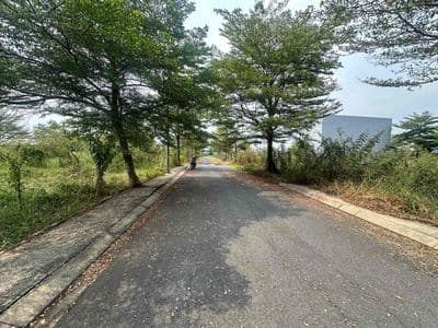 Đất full thổ 80m2 - bình mỹ – đường nhựa 10m – chỉ 1 tỷ 560