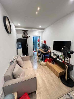 Bán căn hộ TT Nam Thành Công, tầng 2, 36/80m 2 ngủ 2wc, full NT xịn