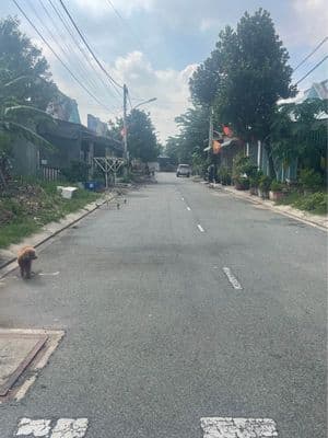 Nhà Chánh Phú Hoà, Bình Dương, giá rẻ