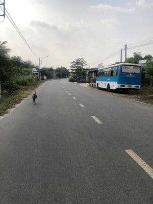 Bán đất Xã Long Hoà , huyện Dầu Tiếng , Tỉnh Bình Dương