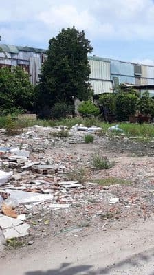 310 m2 ( Có Thổ Cư ) Làm Kho Xưởng, Nhà Vườn