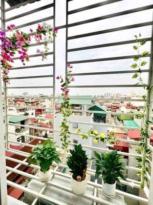 Bán CC Mini Thuỵ Khuê Tây Hồ, Gái Rẻ Full Nội Thất Đẹp