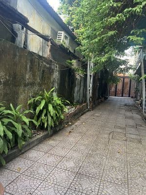 Cho thuê nhà mặt tiền nguyên hồng, p.1, gò vấp