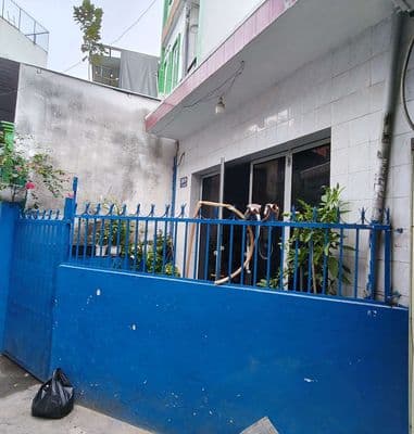 HƠN 60M2 -NỞ HẬU GẦN 8M TÀI LÔC~THẦN TÀI GÕ CỬA NHÀ SỐ 39