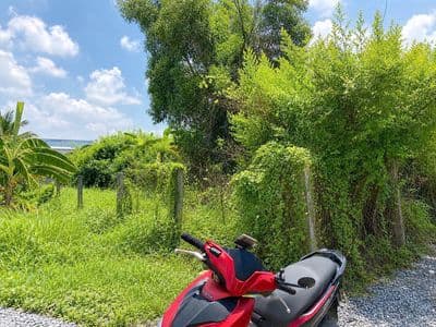 Đất thổ cư 179m² cách 50m đường 830 - Giá 1,25 Tỷ, Long Cang, Tây Ninh
