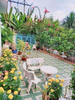 NHÀ PHƯỜNG PHÚ TÂN 482M2