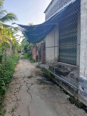 chính chủ cần bán nền cách QL60 cầu Rạch Miễu 2 , 60m