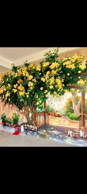 Cho thuê phòng nhà mặt tiền đường Hồng Lạc