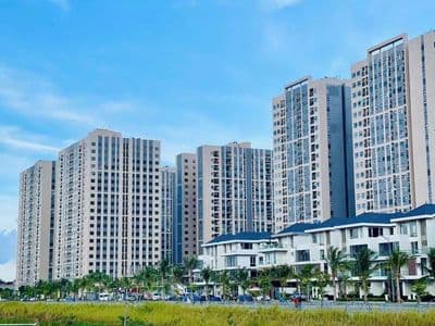 Cho Thuê Shophouse khối đế tòa ct4 cc The Ori Garden Kinh Doanh Tốt